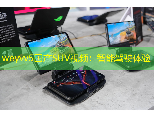 weyvv5國產(chǎn)SUV視頻：智能駕駛體驗