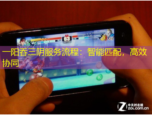 一陽吞三陰服務流程：智能匹配，高效協(xié)同