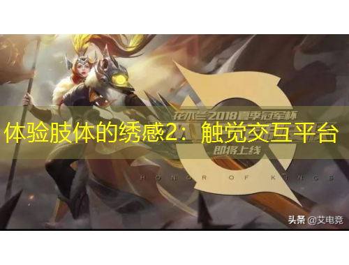 體驗肢體的繡感2：觸覺交互平臺
