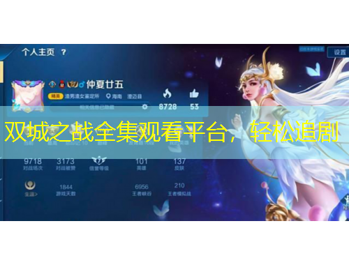 雙城之戰(zhàn)全集觀看平臺，輕松追劇