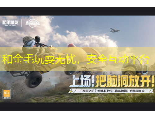 和金毛玩耍無憂，安全互動平臺