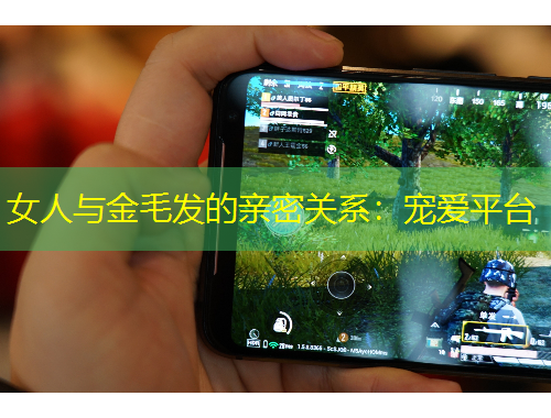 女人與金毛發(fā)的親密關(guān)系：寵愛平臺