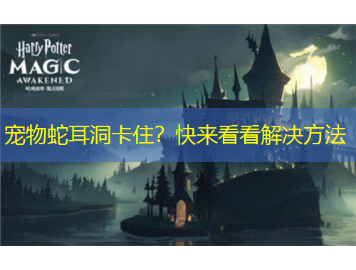 寵物蛇耳洞卡住？快來(lái)看看解決方法