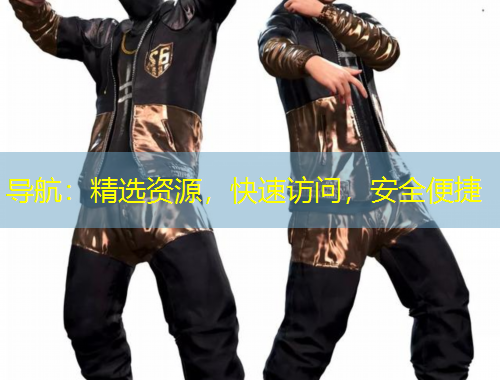 導(dǎo)航：精選資源，快速訪問，安全便捷