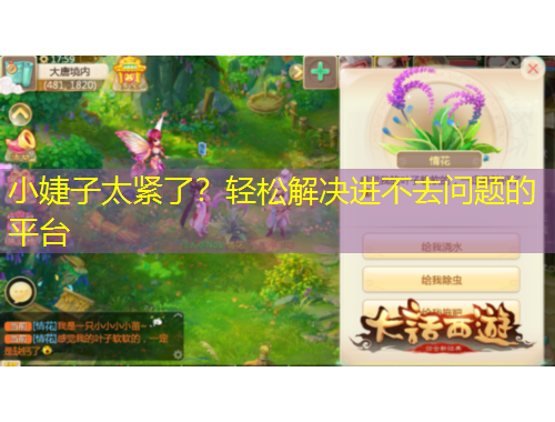 小婕子太緊了？輕松解決進不去問題的平臺