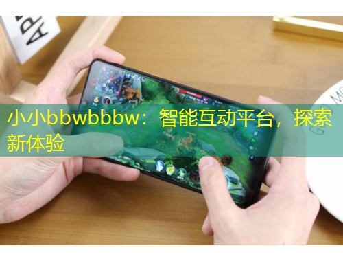 小小bbwbbbw：智能互動平臺，探索新體驗