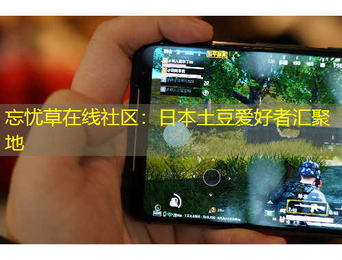 忘憂草在線社區(qū)：日本土豆愛好者匯聚地