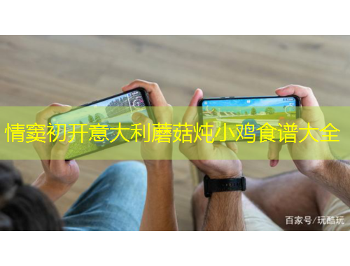 情竇初開(kāi)意大利蘑菇燉小雞食譜大全