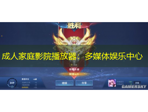 成人家庭影院播放器：多媒體娛樂(lè)中心