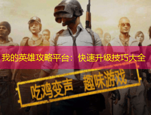 我的英雄攻略平臺：快速升級技巧大全