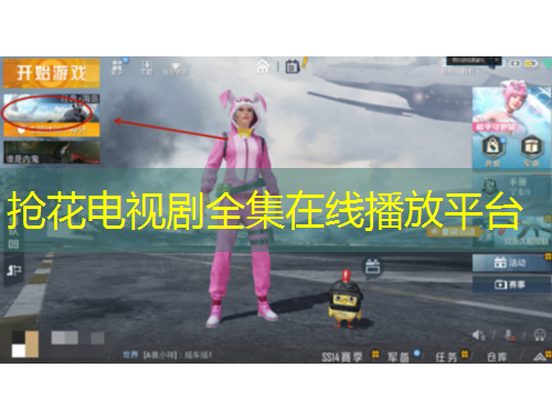 搶花電視劇全集在線播放平臺