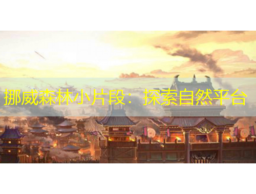 挪威森林小片段：探索自然平臺