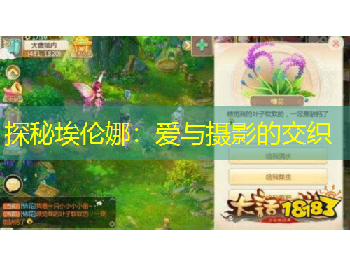 探秘埃倫娜：愛(ài)與攝影的交織