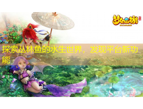 探索叢林魚的水生世界，發(fā)現(xiàn)平臺新功能