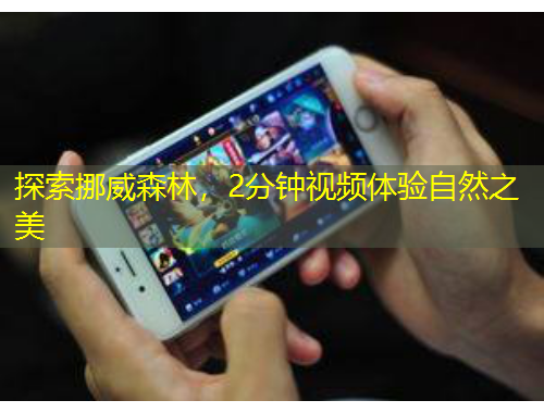 探索挪威森林，2分鐘視頻體驗(yàn)自然之美