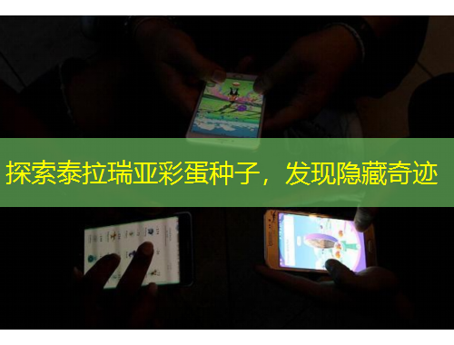 探索泰拉瑞亞彩蛋種子，發(fā)現(xiàn)隱藏奇跡