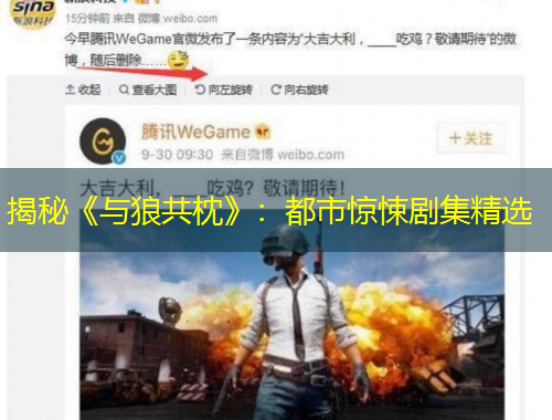 揭秘《與狼共枕》：都市驚悚劇集精選