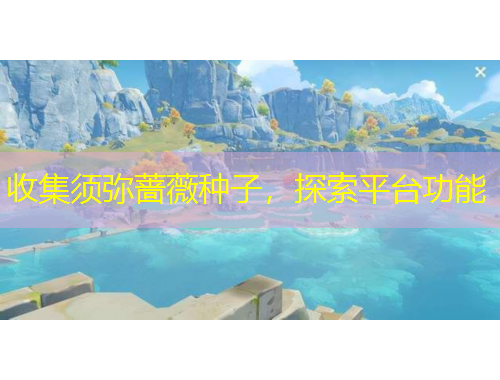 收集須彌薔薇種子，探索平臺功能