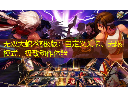 無雙大蛇2終極版：自定義關(guān)卡、無限模式，極致動(dòng)作體驗(yàn)