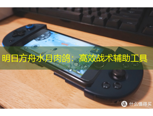 明日方舟水月肉鴿：高效戰(zhàn)術輔助工具