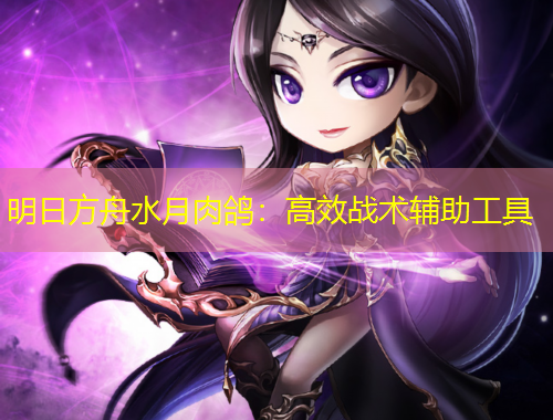 明日方舟水月肉鴿：高效戰(zhàn)術輔助工具
