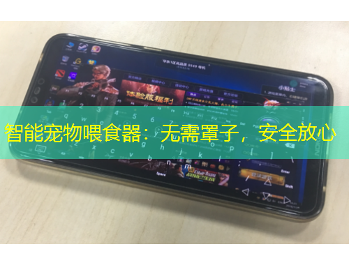 智能寵物喂食器：無需罩子，安全放心