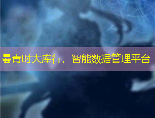 曼青時大庫行，智能數(shù)據(jù)管理平臺