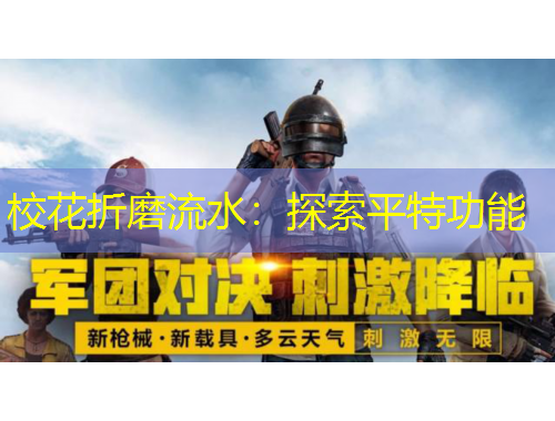 校花折磨流水：探索平特功能