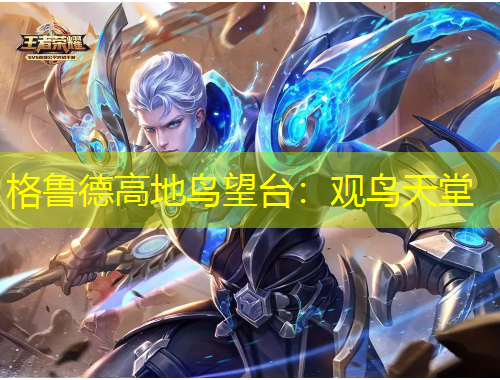 格魯?shù)赂叩伉B望臺：觀鳥天堂