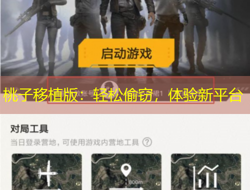 桃子移植版：輕松偷竊，體驗(yàn)新平臺(tái)