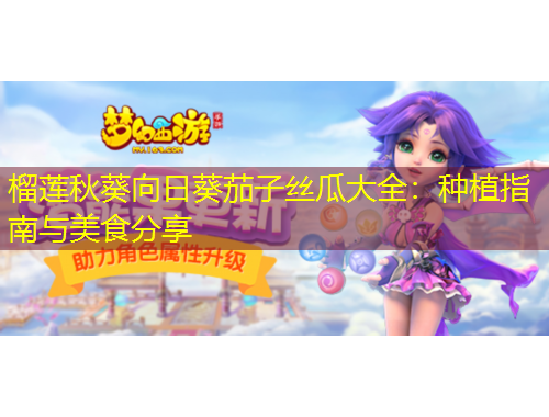 榴蓮秋葵向日葵茄子絲瓜大全：種植指南與美食分享