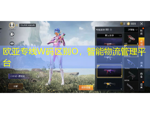 歐亞專線W碼區(qū)別O，智能物流管理平臺