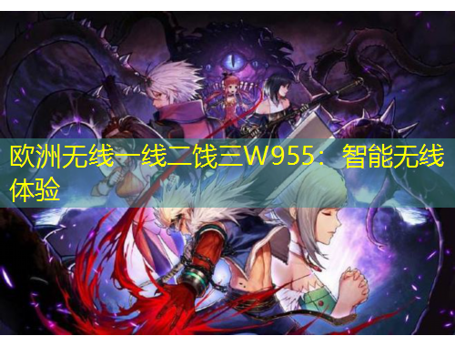歐洲無線一線二餞三W955：智能無線體驗(yàn)