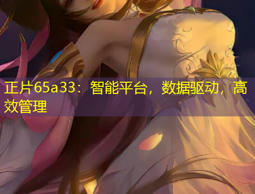 正片65a33：智能平臺，數(shù)據(jù)驅(qū)動，高效管理