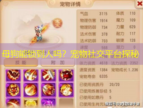 母狗能鎖到人嗎？寵物社交平臺探秘