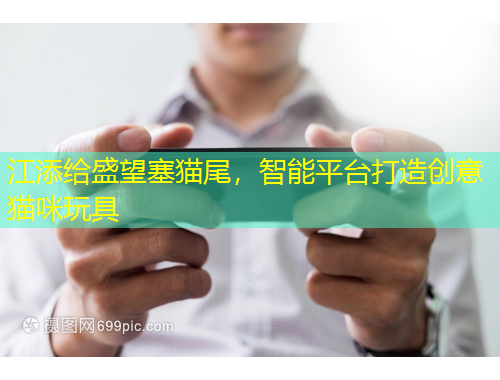 江添給盛望塞貓尾，智能平臺打造創(chuàng)意貓咪玩具