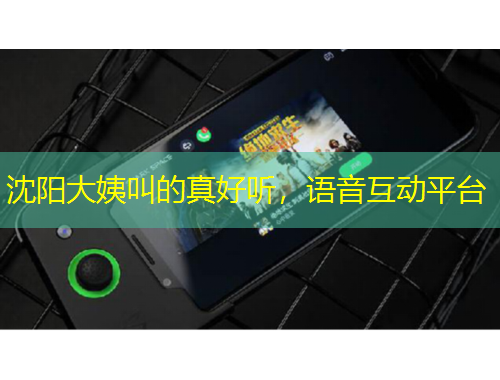 沈陽(yáng)大姨叫的真好聽(tīng)，語(yǔ)音互動(dòng)平臺(tái)