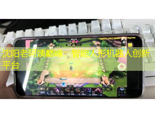 沈陽老阿姨巔峰：智能人形機(jī)器人創(chuàng)新平臺