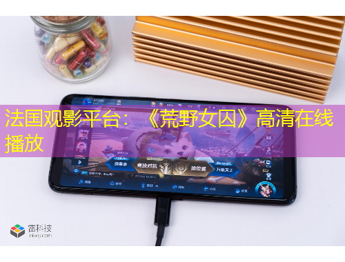 法國觀影平臺：《荒野女囚》高清在線播放