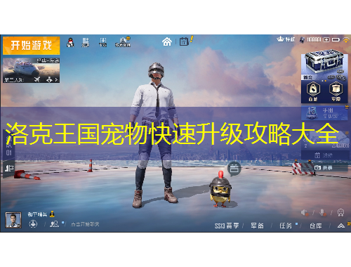 洛克王國寵物快速升級(jí)攻略大全