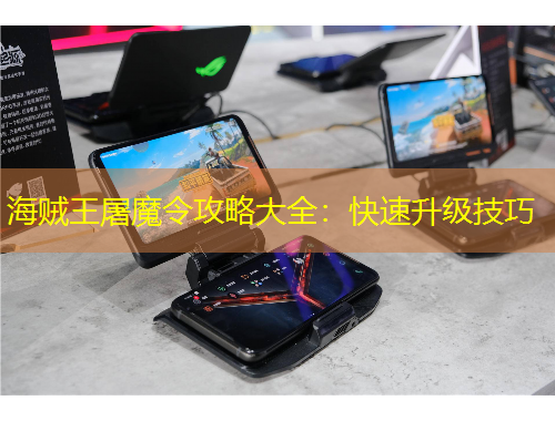 海賊王屠魔令攻略大全：快速升級(jí)技巧