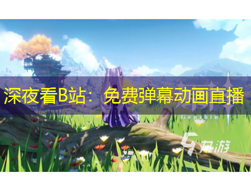 深夜看B站：免費(fèi)彈幕動(dòng)畫(huà)直播