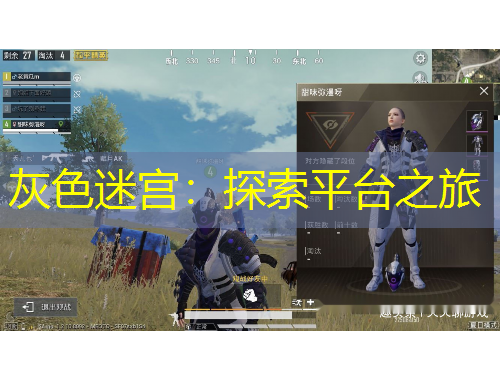 灰色迷宮：探索平臺(tái)之旅