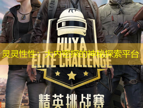 靈靈性性：大內(nèi)密探的神秘探索平臺