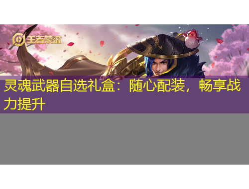 靈魂武器自選禮盒：隨心配裝，暢享戰(zhàn)力提升