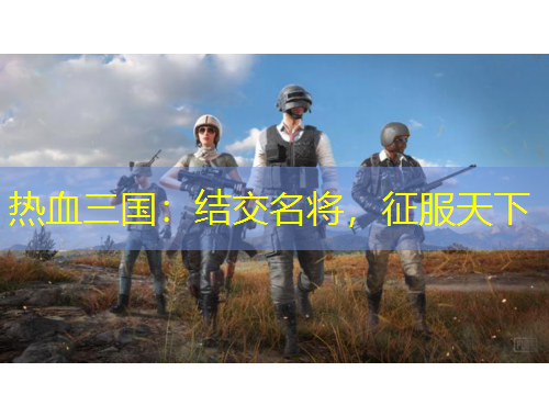 熱血三國：結(jié)交名將，征服天下