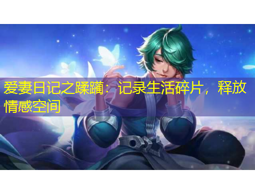 愛妻日記之蹂躪：記錄生活碎片，釋放情感空間