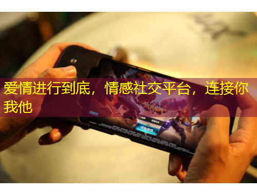 愛情進行到底，情感社交平臺，連接你我他