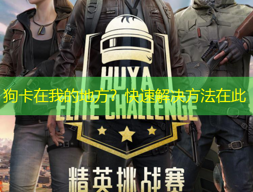 狗卡在我的地方？快速解決方法在此