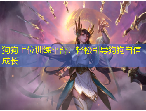 狗狗上位訓練平臺，輕松引導狗狗自信成長